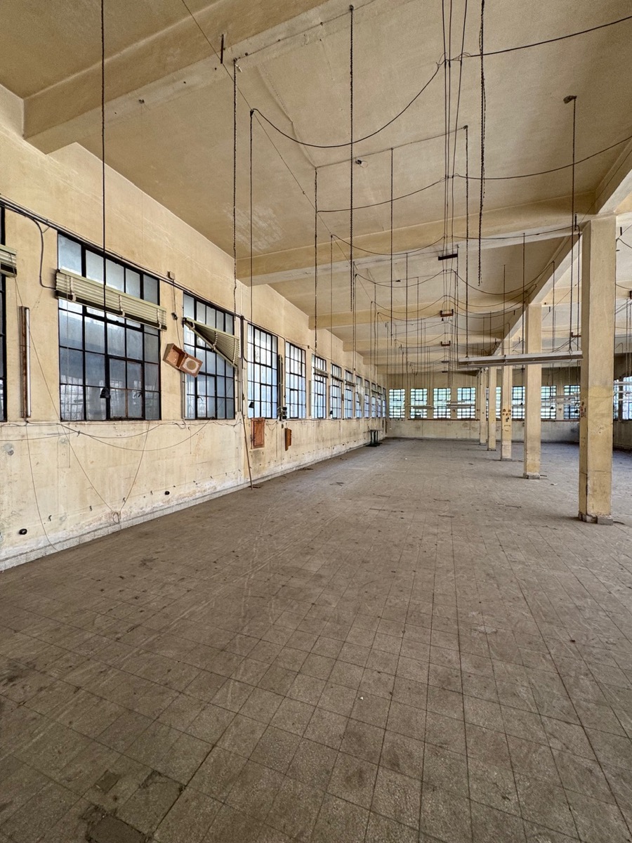 We Design Beirut Diaries- Skin of A City